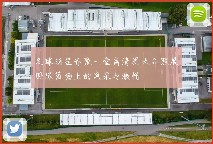 足球明星齐聚一堂高清图大合照展现绿茵场上的风采与激情