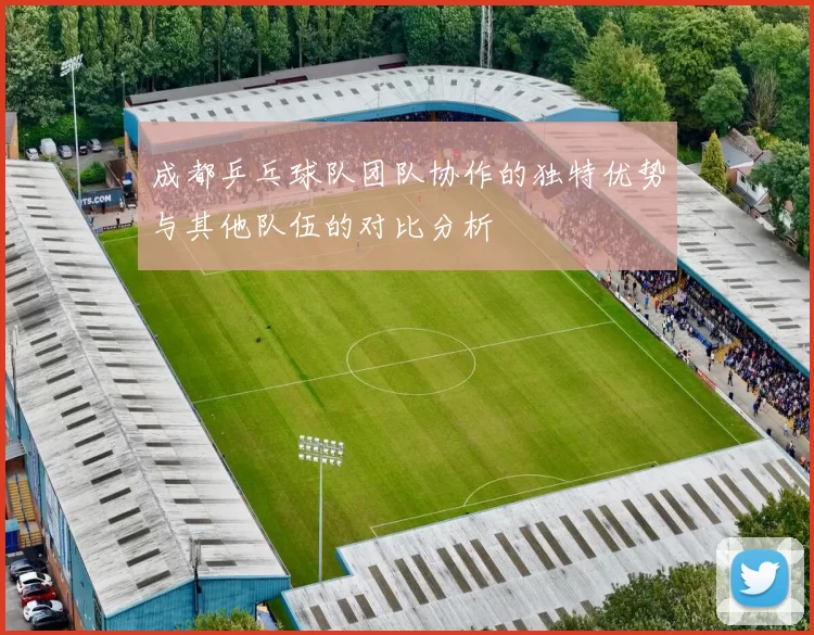 成都乒乓球队团队协作的独特优势与其他队伍的对比分析