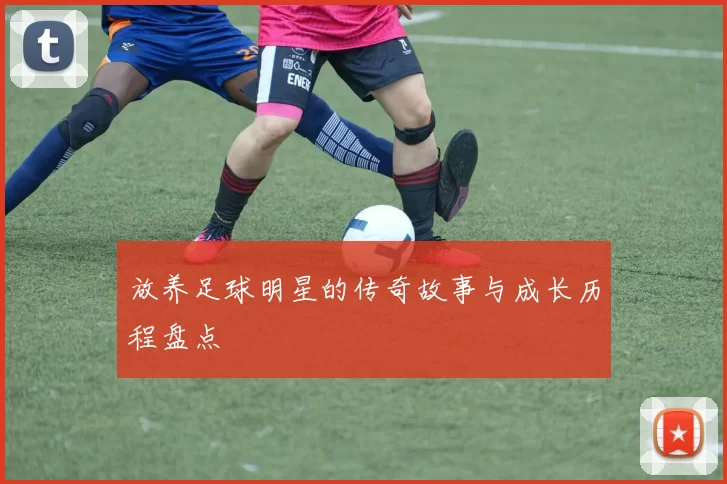 放养足球明星的传奇故事与成长历程盘点