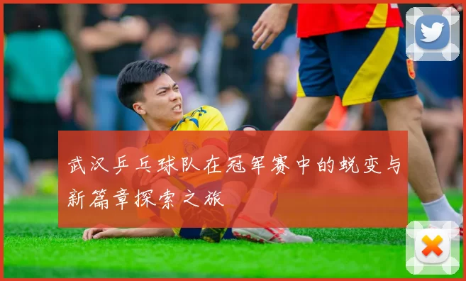 武汉乒乓球队在冠军赛中的蜕变与新篇章探索之旅