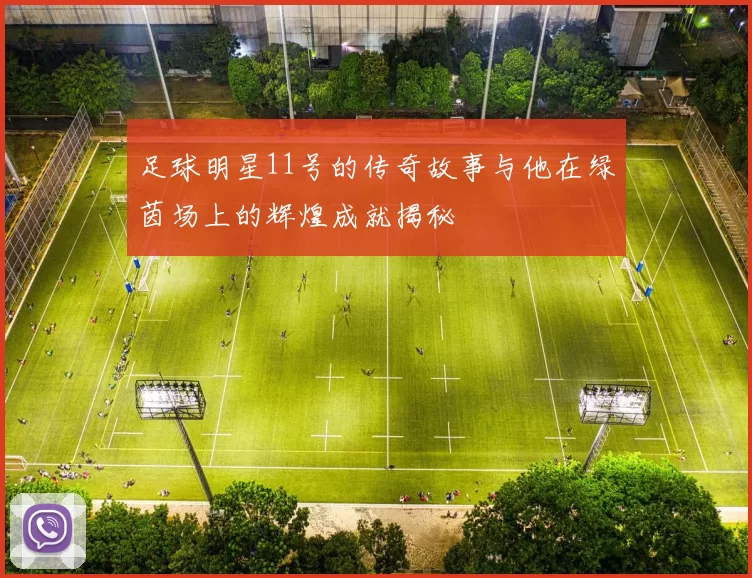 足球明星11号的传奇故事与他在绿茵场上的辉煌成就揭秘