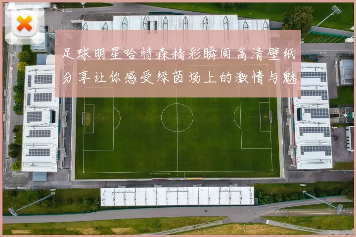 足球明星哈特森精彩瞬间高清壁纸分享让你感受绿茵场上的激情与魅力