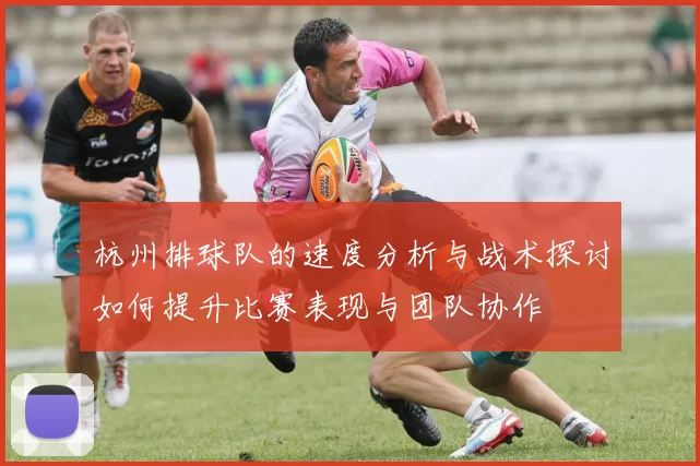 杭州排球队的速度分析与战术探讨如何提升比赛表现与团队协作