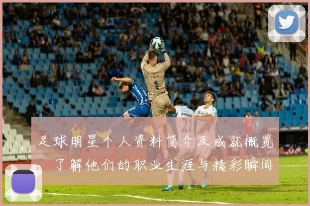 足球明星个人资料简介及成就概览，了解他们的职业生涯与精彩瞬间