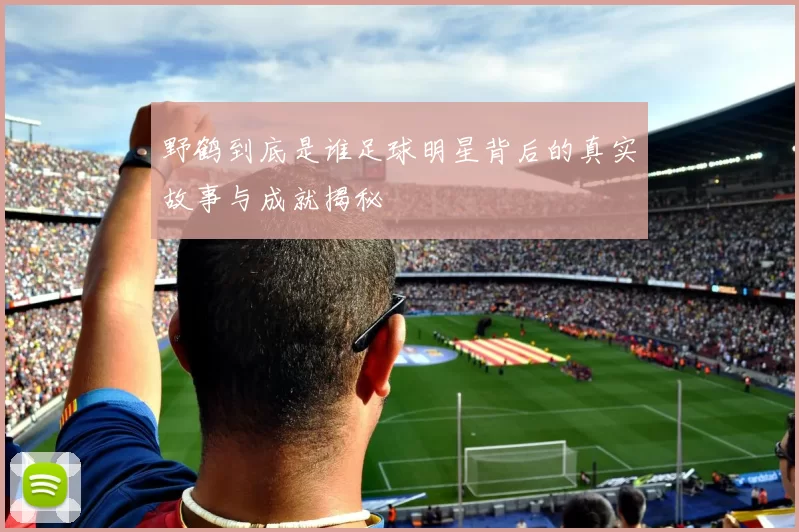 野鹤到底是谁足球明星背后的真实故事与成就揭秘