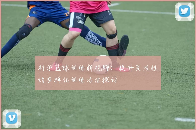 科学篮球训练新视野：提升灵活性的多样化训练方法探讨