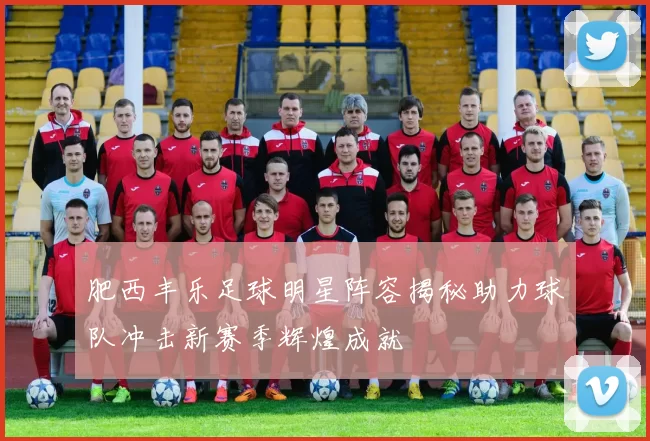 肥西丰乐足球明星阵容揭秘助力球队冲击新赛季辉煌成就